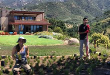 Surround Yourself in Nature’s Beauty- Become a Garden Volunteer!