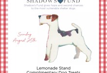 National Dog Day @ Montecito Country Mart