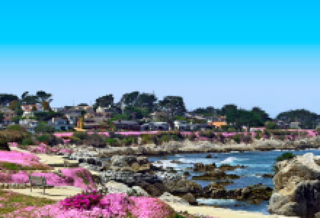 Nature Lovers “Flock” to Asilomar for End-Of-Season Vacations