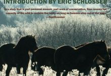 Author and Journalist, Isabella Tree, Shares new book entitled Wilding– Returning Nature to our Farm