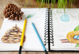 The Art of Journaling