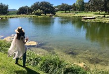 Love and Rockets at the Hotel Skyview