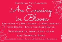 An Evening in Bloom