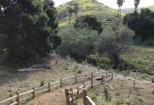The Bartron Real Estate Group to Host Creek Week Planting at Arroyo Burro Open Space