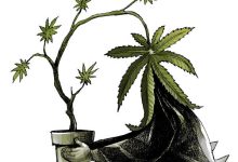 Pros and Cons: Legal Marijuana in Santa Barbara