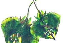 Fishing with Paper & Ink: Nature Prints by Dwight Hwang & Eric Hochberg | Opening & Reception