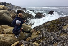 Pet-Friendly Getaway to Morro Bay