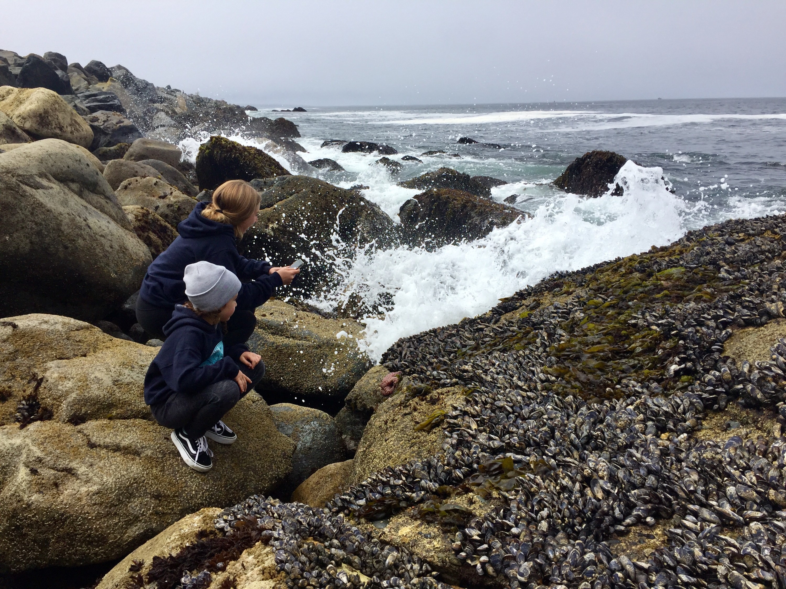 PetFriendly Getaway to Morro Bay The Santa Barbara Independent