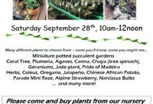 Fall Plant Sale – Mesa Harmony Garden