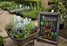 Fall Native Plant Sale