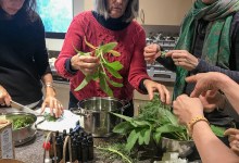 Herbal First Aid Kits For Families Workshop