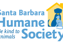 Santa Barbara Humane Society Featured  in Nationally-Broadcast Animal Adoption Show