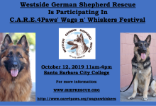 Westside German Shepherd Rescue Adoption Event