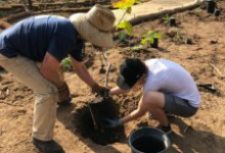 Arroyo Burro Open Space Native Planting