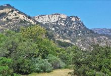 Riparian Ecology of Arroyo Hondo Creek