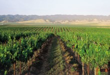 Would New Fee Empower Wine Country Marketing Efforts?
