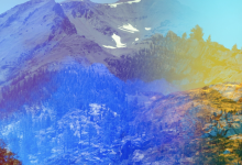 Vetiver Show Third Window Brewing