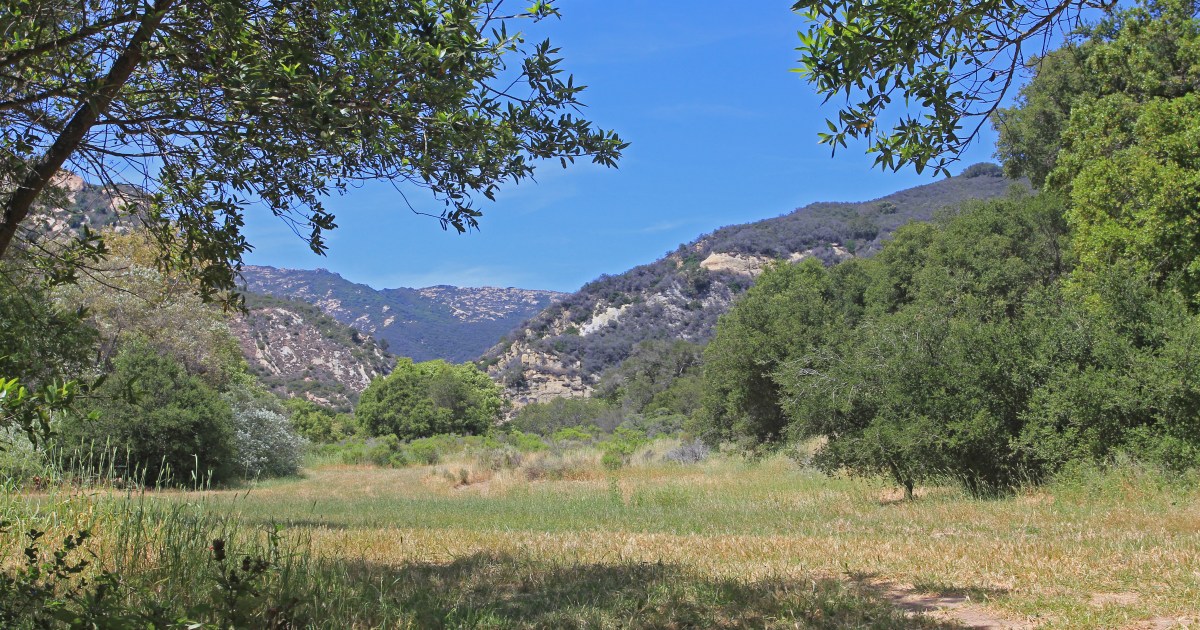 Arroyo Hondo Preserve Guided Tours The Santa Barbara Independent