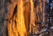 Photography in Focus: A Panel Discussion with Susan Jørgensen, Michael Miner, Ana Phelps, and George Rose