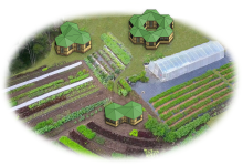 Introducing GeoComb Homes