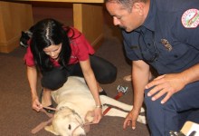 Santa Barbara’s First Responders Are Learning First Aid for Pets