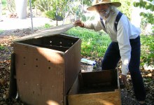 Growing Healthy Herbs- By Working with the Soil Microbiome