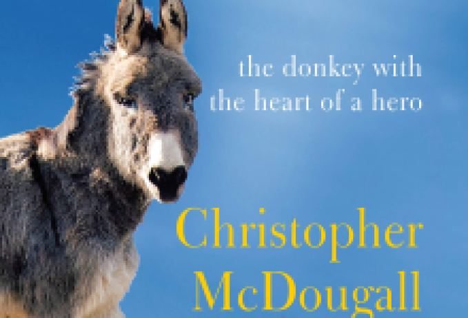 Christopher McDougall Interviewed