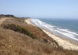 Wild Adventure Yoga at Ellwood