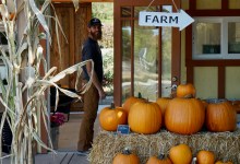 Fall Market at Fairview Gardens Farm Stand