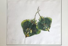 Gyotaku Art Exhibit Opens at Maritime Museum 