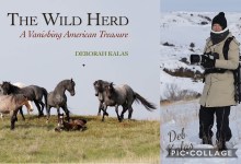 The Wild Heart Book Signing with Deborah Kalas