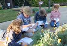 The Joy of Experiential Learning at Crane School