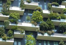 Big Cities Are Starting to  Help the Environment