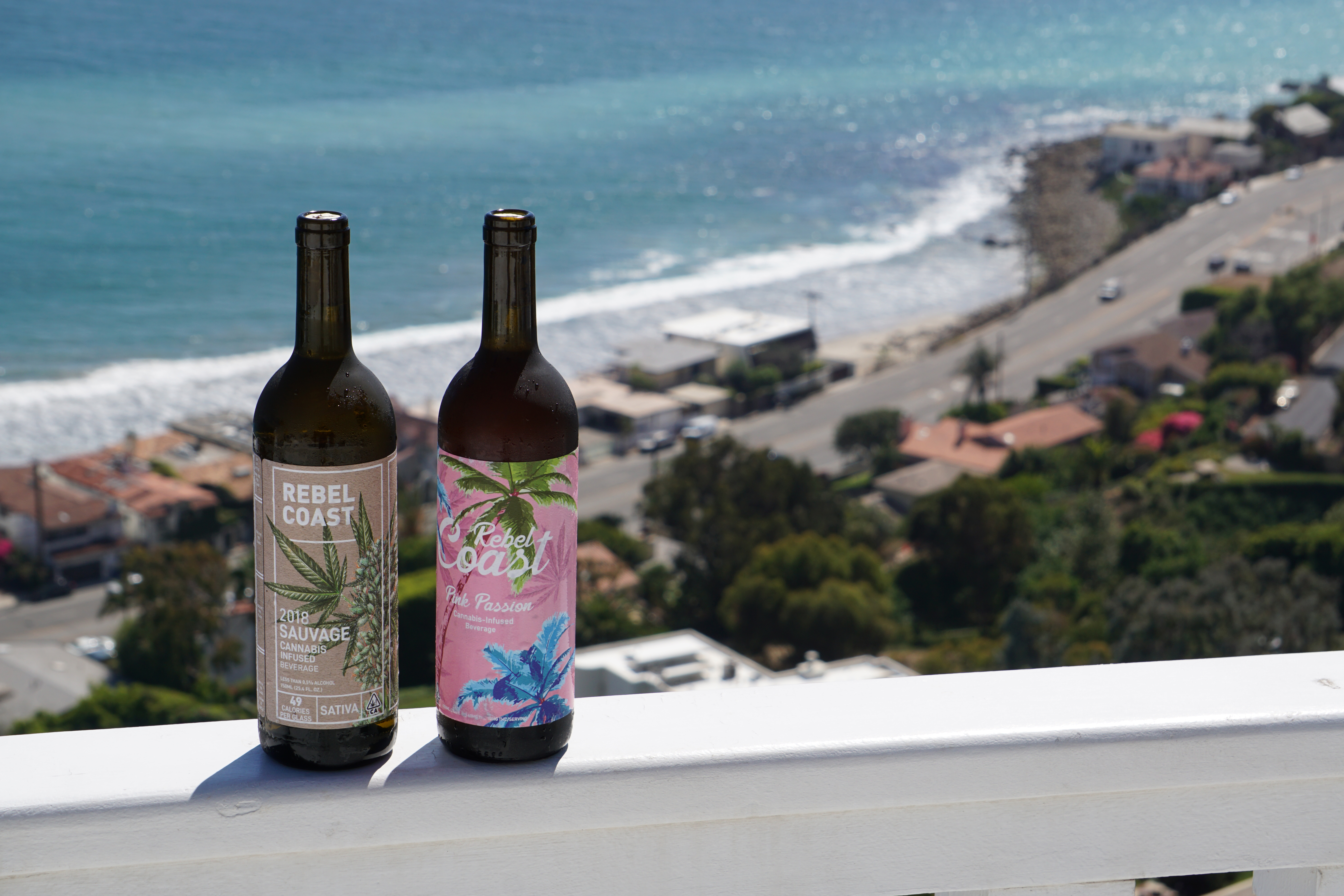 Crashing Waves Beach Wine Set Comes With Insulated Bottle and