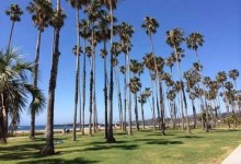 Wild Adventure Yoga and Full Moon Polar Plunge