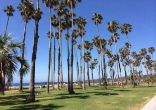 Wild Adventure Yoga and Full Moon Polar Plunge