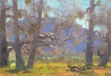 Marcia Burtt Gallery: Arboreal Exhibition