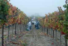 Some Santa Barbara County Vintners Cold to Wine Fee