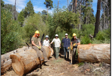 Backcountry Trails Update with Bryan Conant