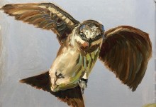 A Wing and A Prayer Exhibit by Allison Gobbell