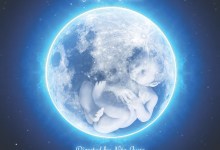 The Electric Baby by Stefanie Zadravec