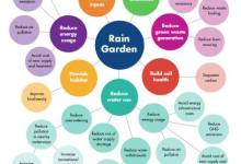 Rainwater Harvesting and Stormwater Management 101