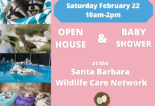 Wildlife Open House and Baby Shower