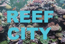 Reefcity Coming to Topa Topa