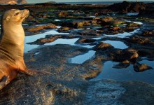 CANCELED- Charting a Path for More Sustainable Travel