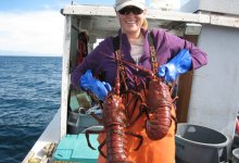 Coronavirus Hurts Santa Barbara Lobster Business