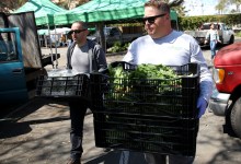 Veggie Rescue Continues Service During COVID-19