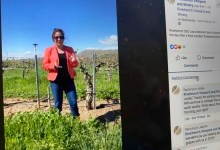 How to Support Hometown Wineries, Breweries