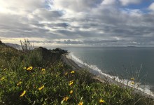 City of Carpinteria Will Take Over Rincon Bluffs Preserve