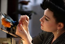 CANCELED- Stuffed Film Screening